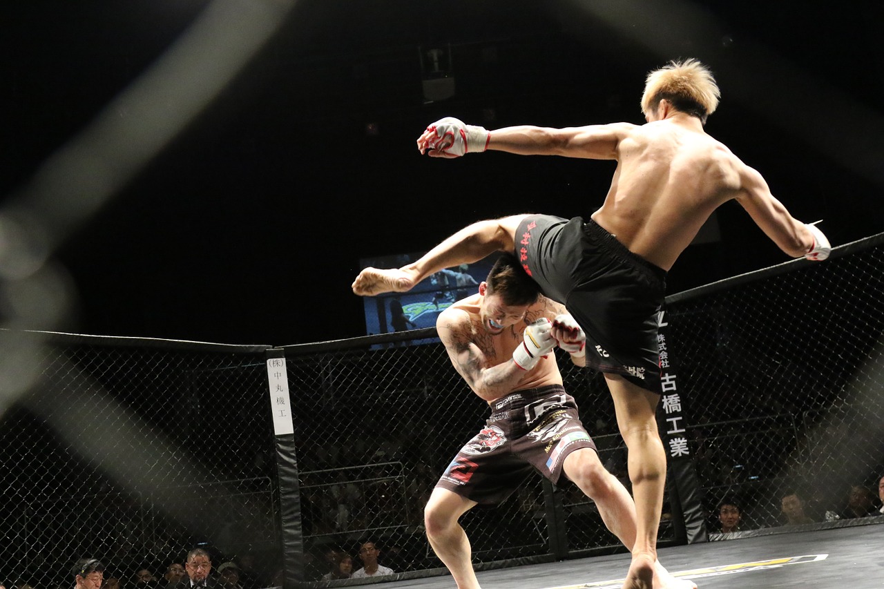 MMA är en spännande sport